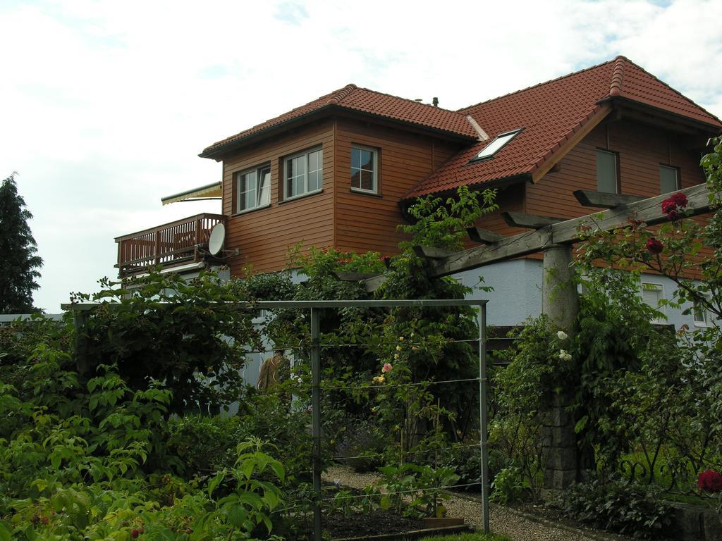 Mayerhofer House Linz Ngoại thất bức ảnh